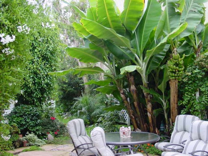 AARONS'S NATURAL LANDSCAPING work