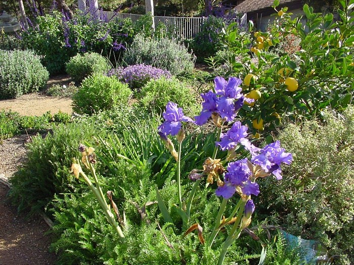 AARONS'S NATURAL LANDSCAPING work
